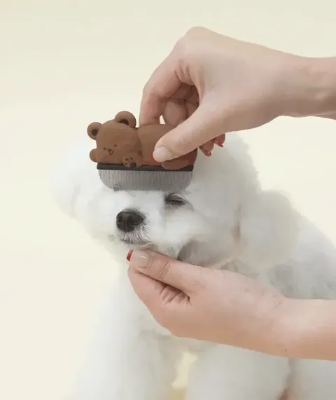 image_3FDAB5F9-DB6F-49EA-BF65-EDA8A3BA82C3_1759418635