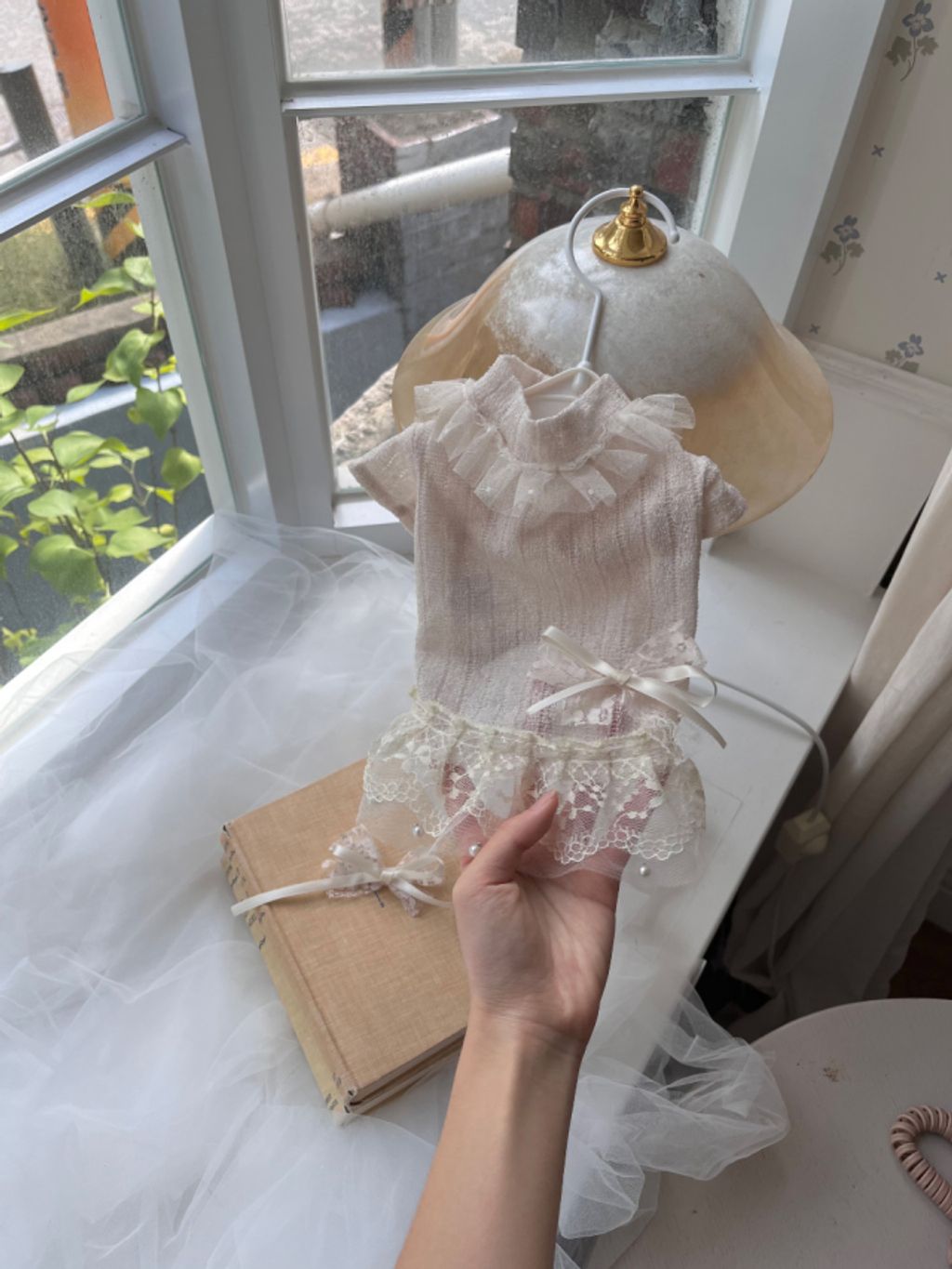 image_AEE74559-0CAD-44B9-85C6-AF07A941E71C_1759926168