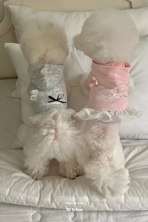 image_92E2C281-54D6-421D-978C-A74B8E84E0CE_1759926492