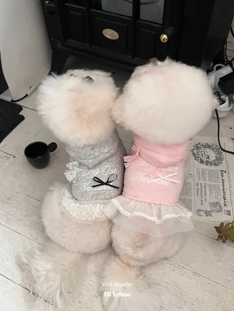 image_22047D5F-5397-4581-8FC5-CCA45F30469C_1759926492