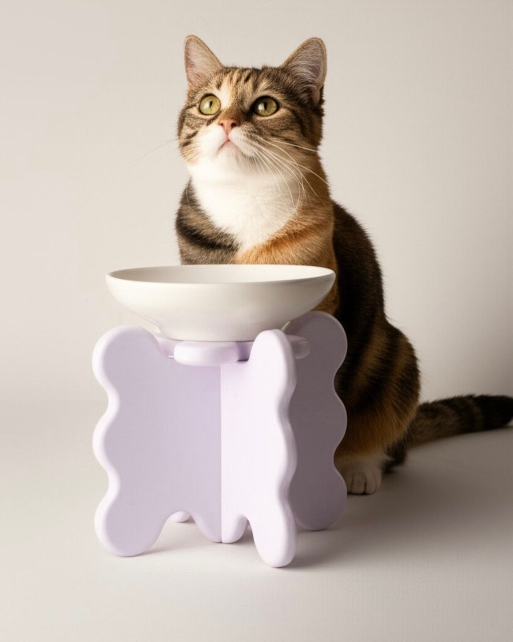 image_39EE2A4A-1BD8-4E15-98A0-6DF121766C90_1760367062