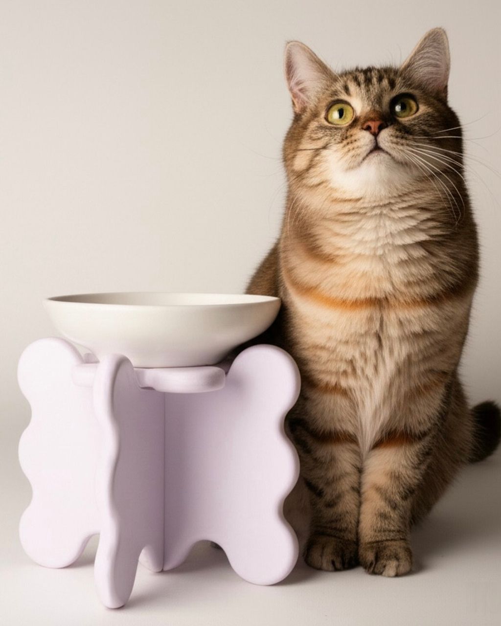 image_2979CA01-9FEA-4DC3-9C3B-8030B69DAF52_1760367062