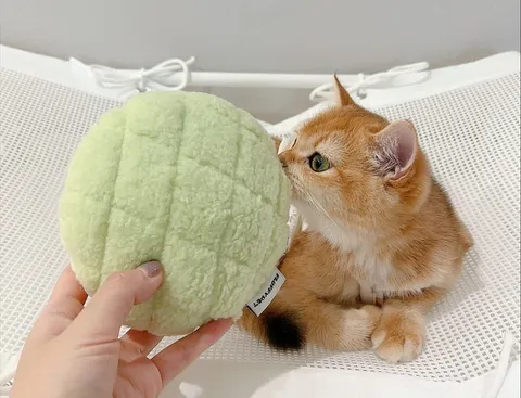 image_75800D11-427D-4096-B619-92E3A46127F8_1761036509