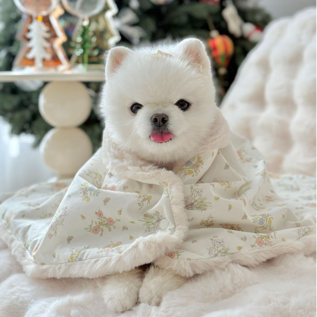 image_D26E44E0-591F-46D9-8E0A-70B9EFA3EDFE_1761165903