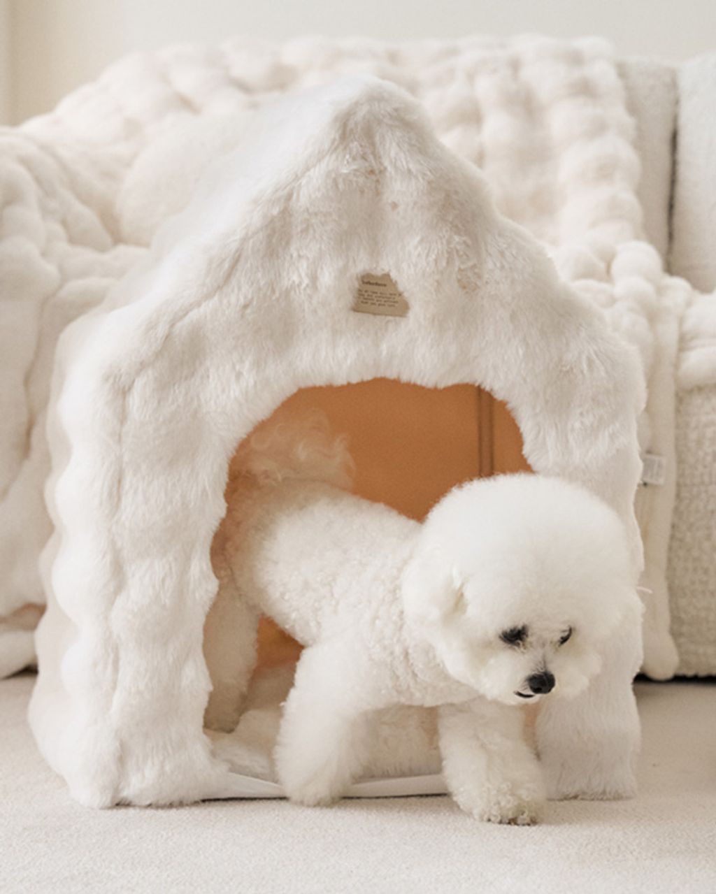 image_74FD2452-C645-472A-A4C9-5C92DB4693C1_1761167606