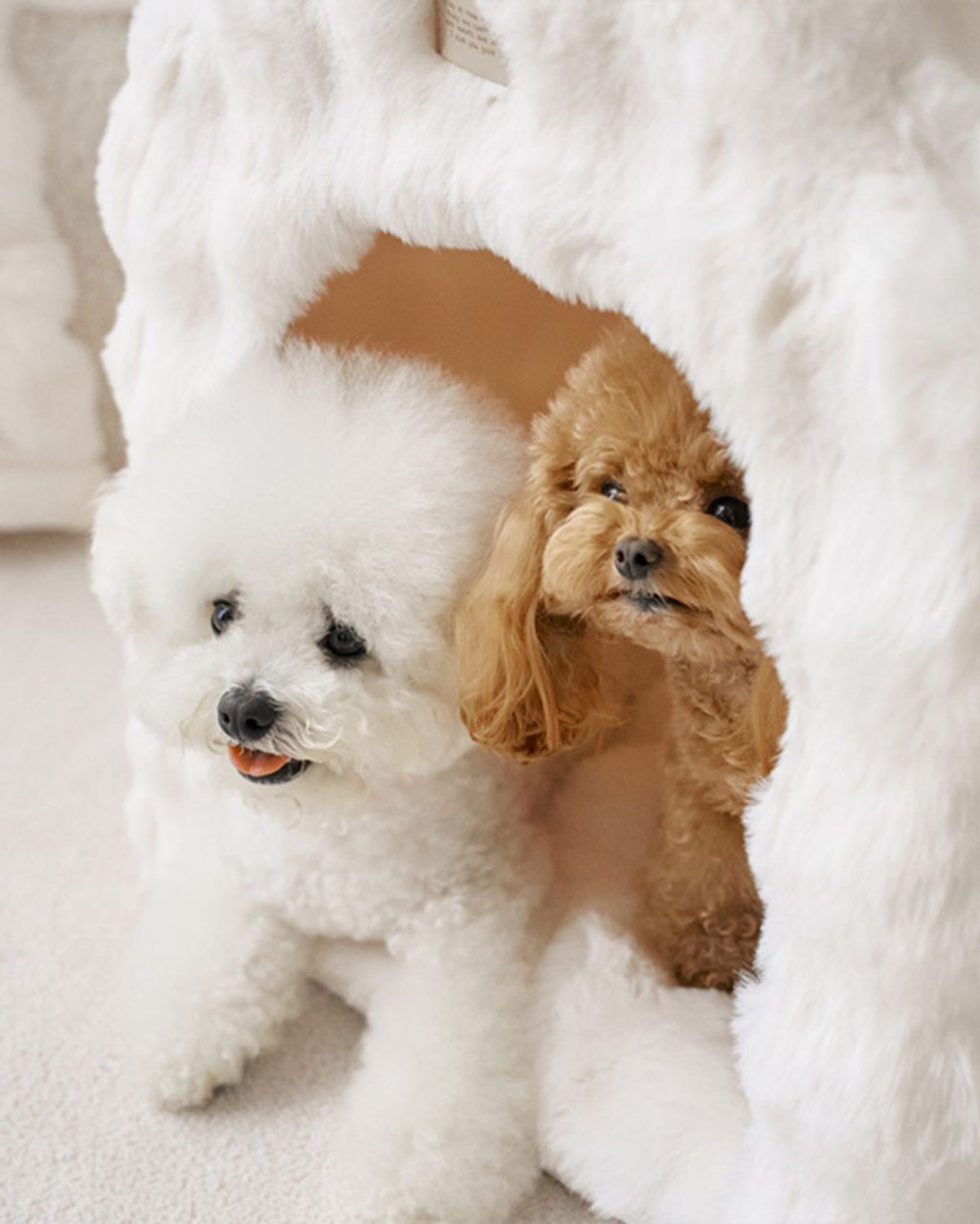 image_279E63AB-7610-464F-ABF5-9C41DF0FE12A_1761167606