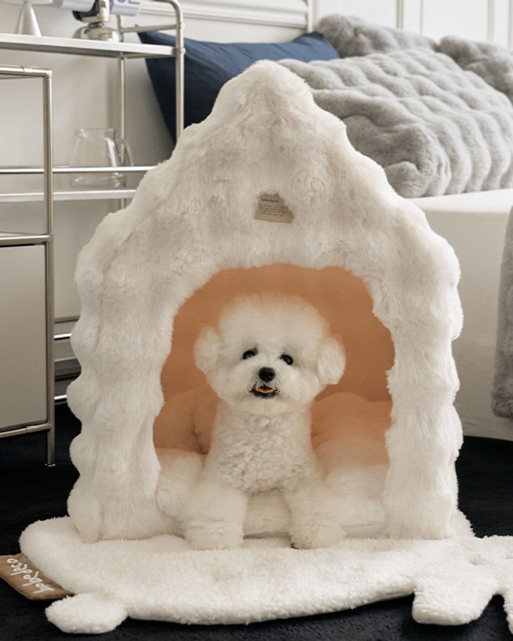 image_1C14F557-C1C6-4B01-A24E-E2AA64BFD861_1761167606