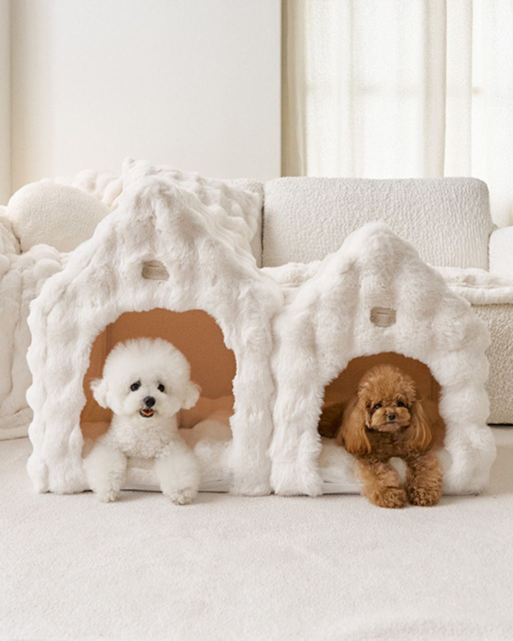 image_C07DE2DA-F02C-454C-A629-534095A5D985_1761167606