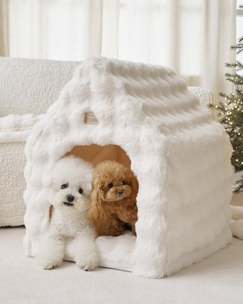 image_888130CB-FEA4-4DDD-AECE-4E55C3B3A4CA_1761167606