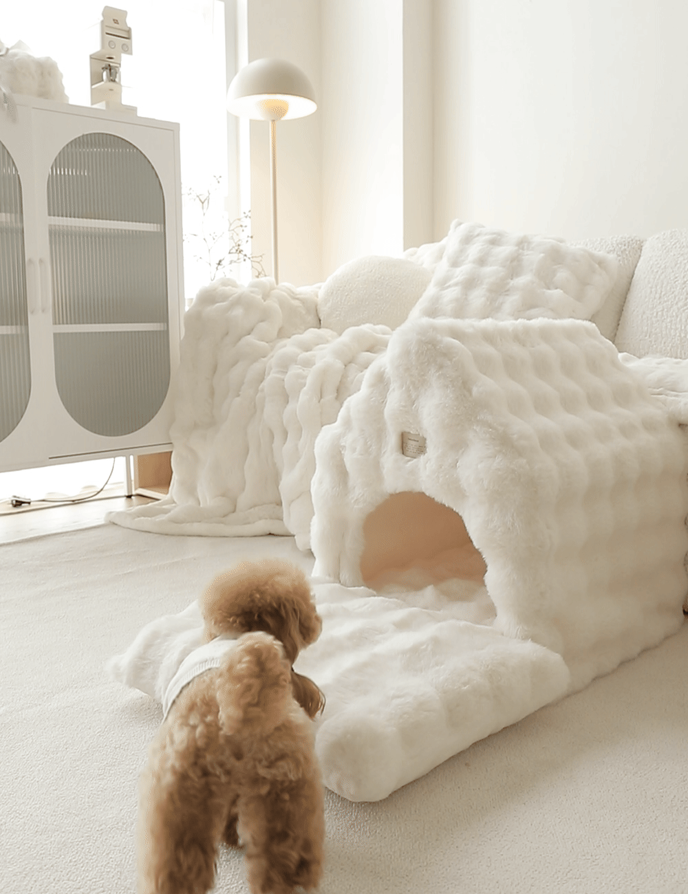 image_37AAA887-0021-4D54-8946-FDC4F638E732_1761167618