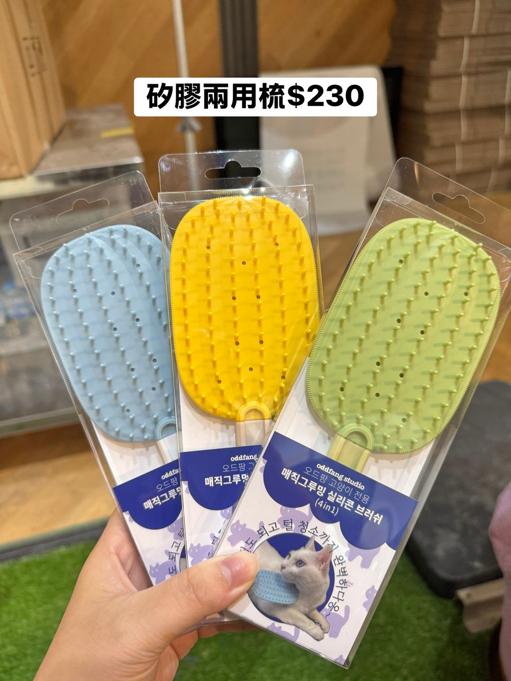 image_8F05E984-15F2-43B5-A66B-73D9A5C089AD_1761322123