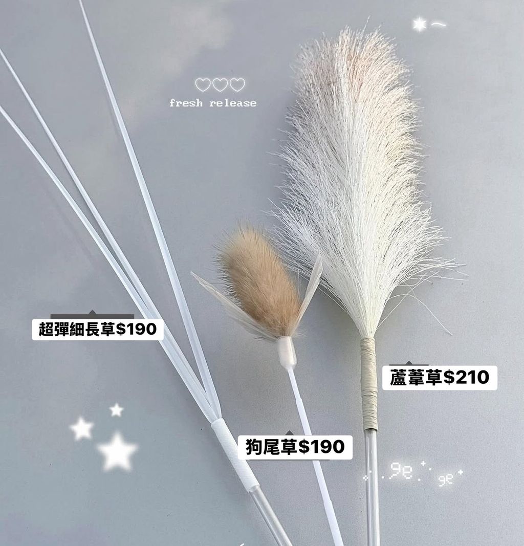 image_6F2421CE-4EAE-4F2A-BE80-EEA658D3CA7A_1761322123