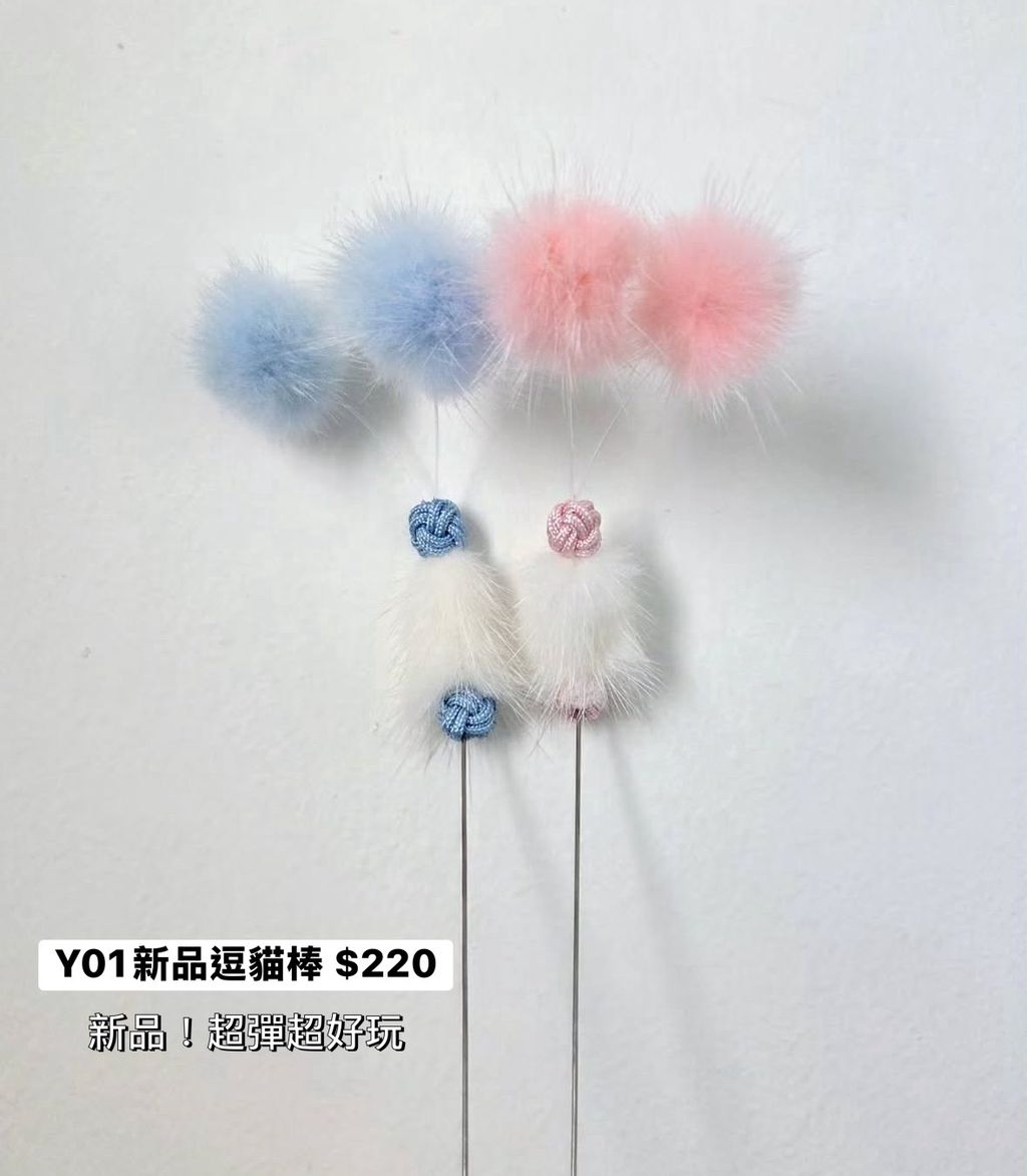 image_10D36AFD-735E-4E00-93B8-3C9C849E681D_1761322123