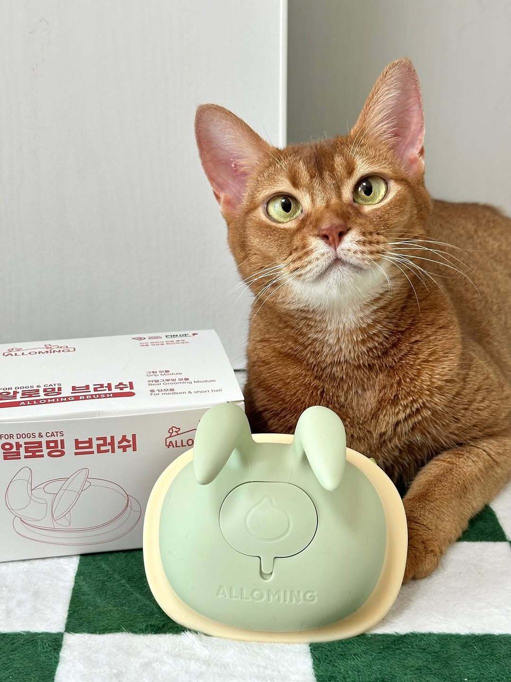 image_F2BCF9F0-908A-4BC3-AA98-0339A6738D2E_1761322123