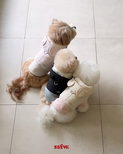 image_C6F05100-4879-4333-9053-9DC19C8D2CBD_1761718585