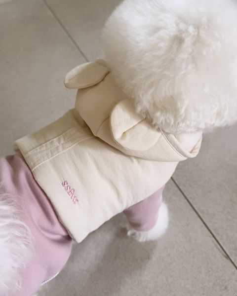 image_8C1D1570-3A86-4D44-A980-47EEDF936604_1761718585