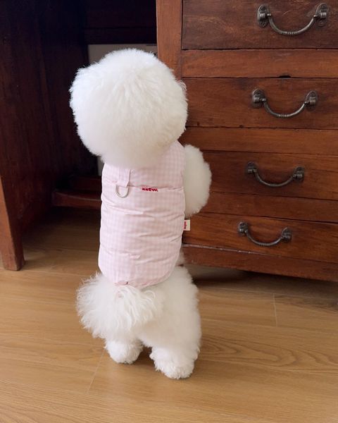 image_DBA37397-3E91-4BC6-8C0C-329ECC4B766B_1761719061