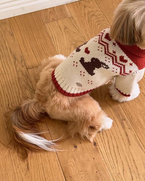 image_F5F77716-905D-4CB6-8DB4-783D7958F1DA_1761719952