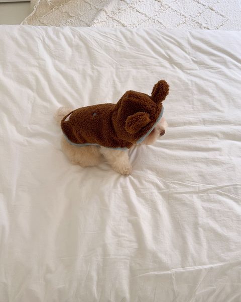 image_4E152503-F68B-4E88-8F51-97993D1C8A19_1761720739