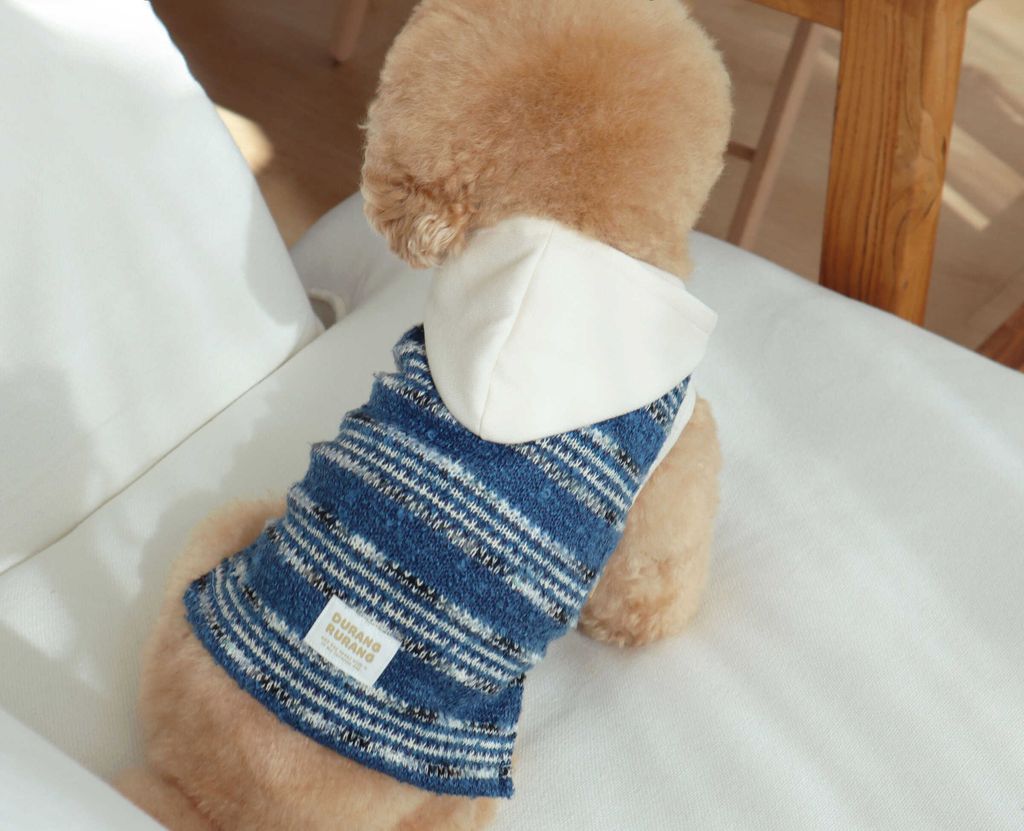 image_16E32594-1C7B-478D-9F18-DBAF97602AB5_1761809788