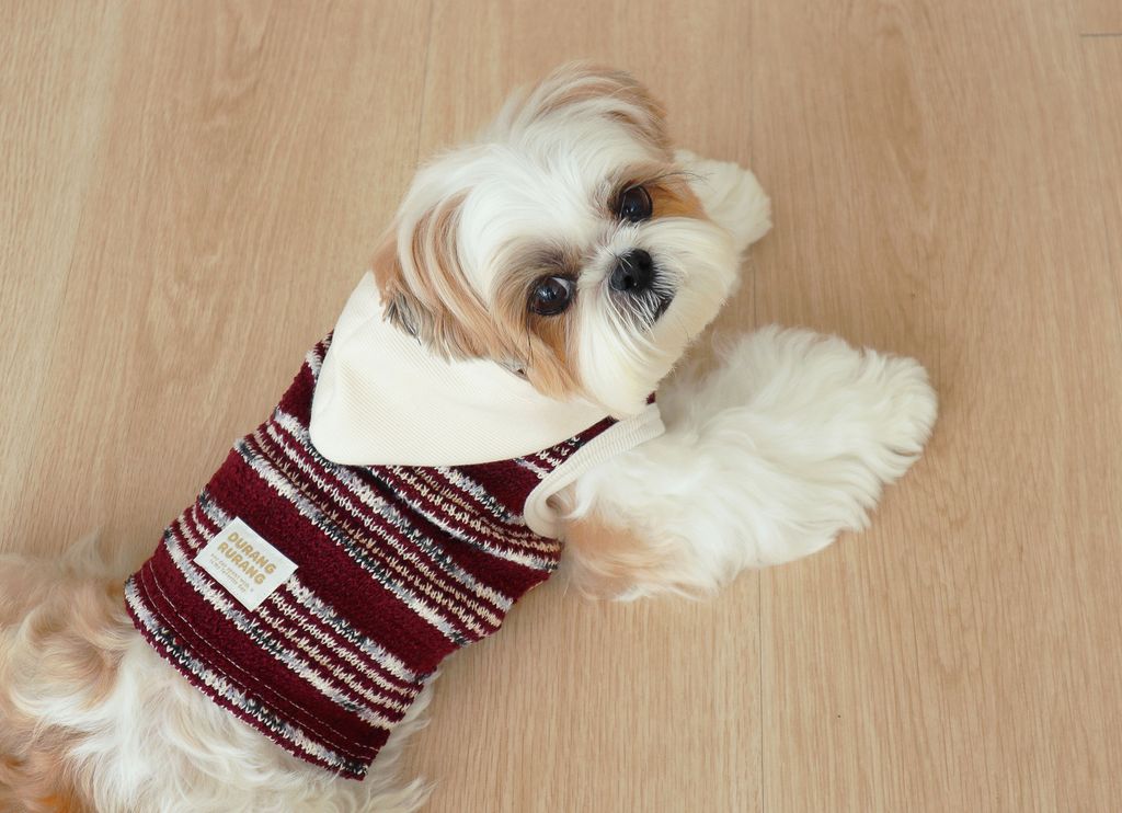 image_D7F648F3-6C0A-408C-A34F-579087438A06_1761809788