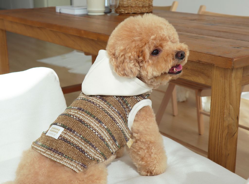 image_387FE67B-C8F5-41B5-A97C-1AB4FB424045_1761809788