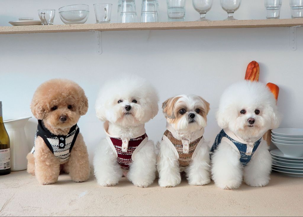 image_34FBE8D7-0C38-415F-B81A-1006CE453BC6_1761809789