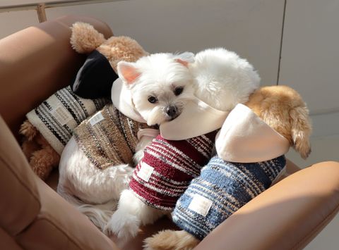 image_F2C9DAB9-62EF-4D1C-BCC2-2B39117D51E4_1761809789