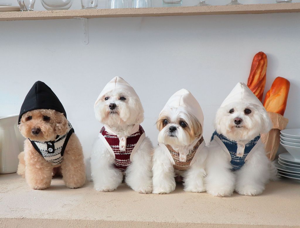 image_F5C3D45A-CE06-4320-A70B-7E1F531DD67A_1761809789