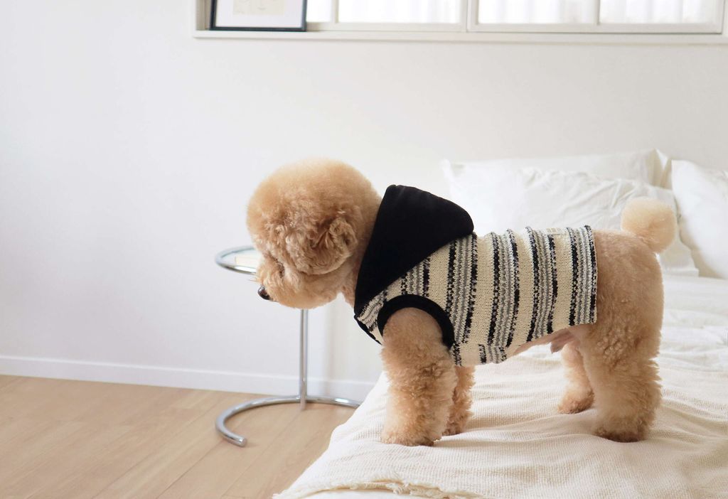 image_2836F226-C090-4564-87B3-60BAD22327DC_1761809789