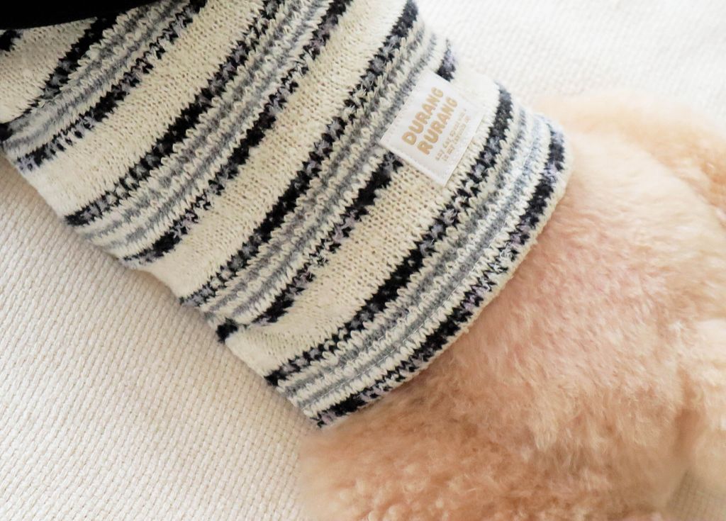 image_D439027C-0A3F-48CD-B80C-71825E2FDFA7_1761809789