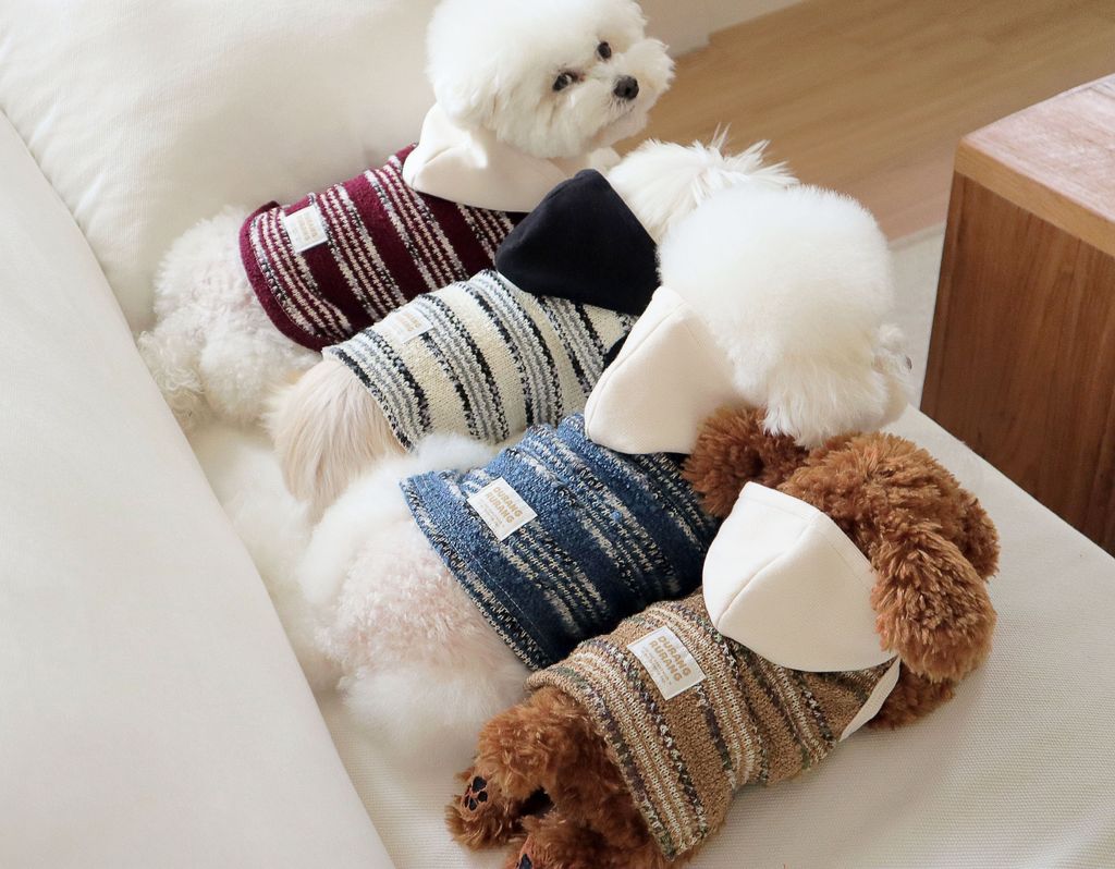 image_B819F67D-01BC-4E2E-BF49-BC187637A5BF_1761809789