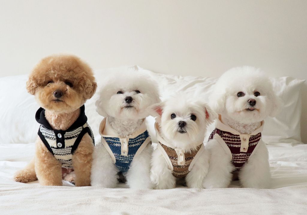 image_5664E9A7-80A5-4D66-BA5F-7BF07FC89DB1_1761809789