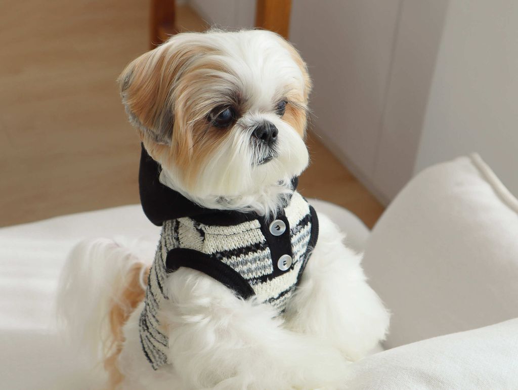 image_8FE474F7-C45D-444D-9BFE-99ACCC79B696_1761809789