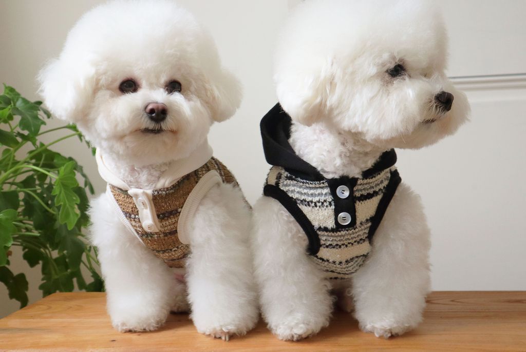 image_D64D561B-4A09-4286-AA46-369C5A50801C_1761809789