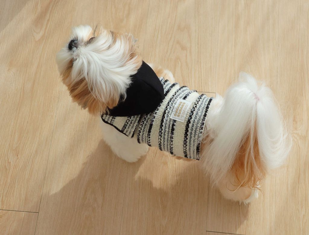 image_C0435694-2309-44BB-BCAB-3566EA855B56_1761809789