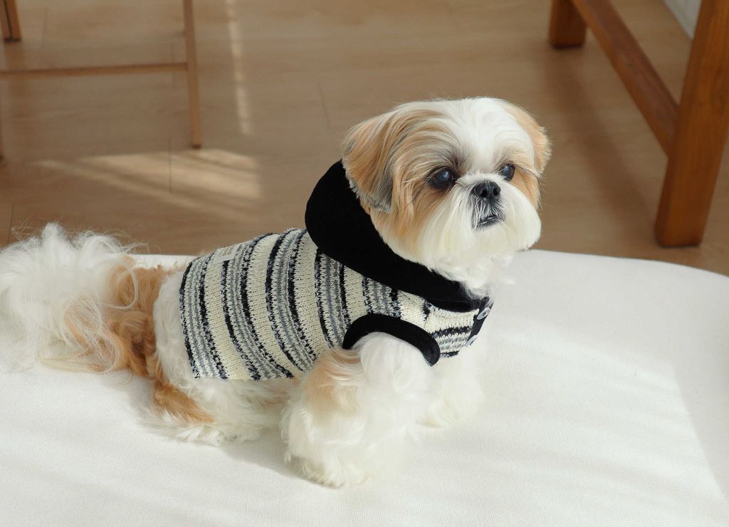 image_8E5CAE45-CB73-4E9A-B3FC-3F65A8E357C2_1761809789