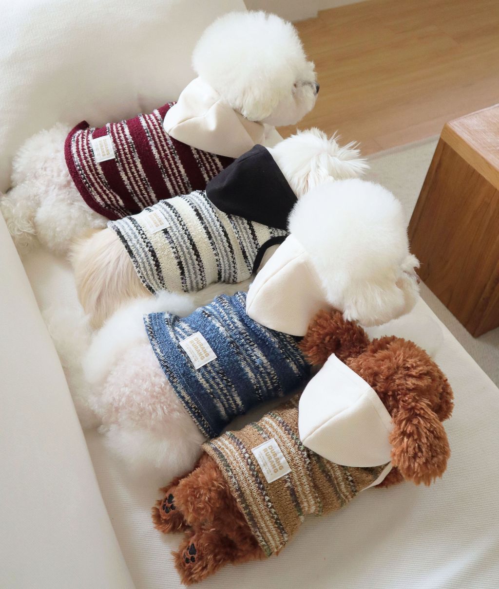 image_0D2D753E-FB4A-4833-8192-259AC3FC3D7F_1761809789