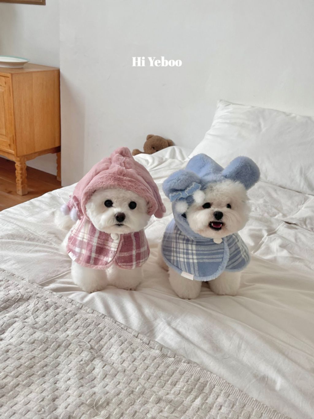 image_E233A6B6-388F-4899-846A-CEA613B661DD_1762097487