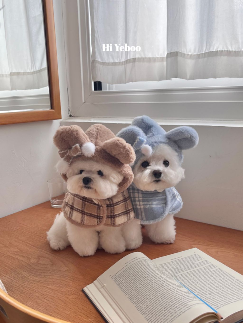 image_69C66435-AAE5-448B-B22B-1B59A12E9B65_1762097487