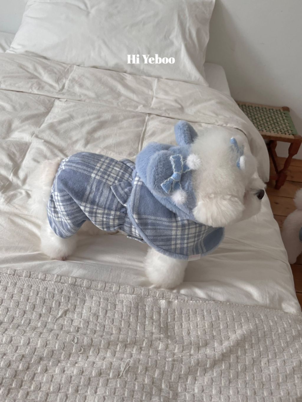 image_EECEF519-F46C-4642-8DF9-660E593601DC_1762097487