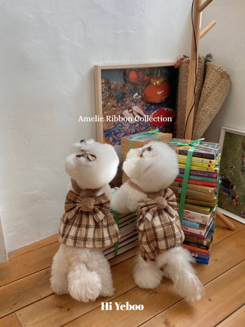 IMG_2044-1732163495886