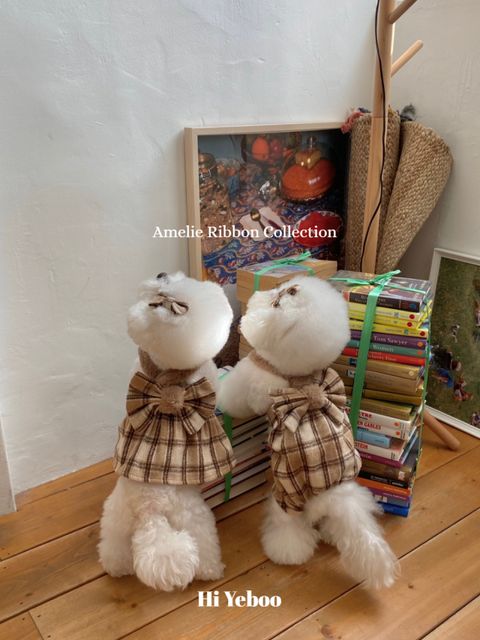 IMG_2044-1732163495886