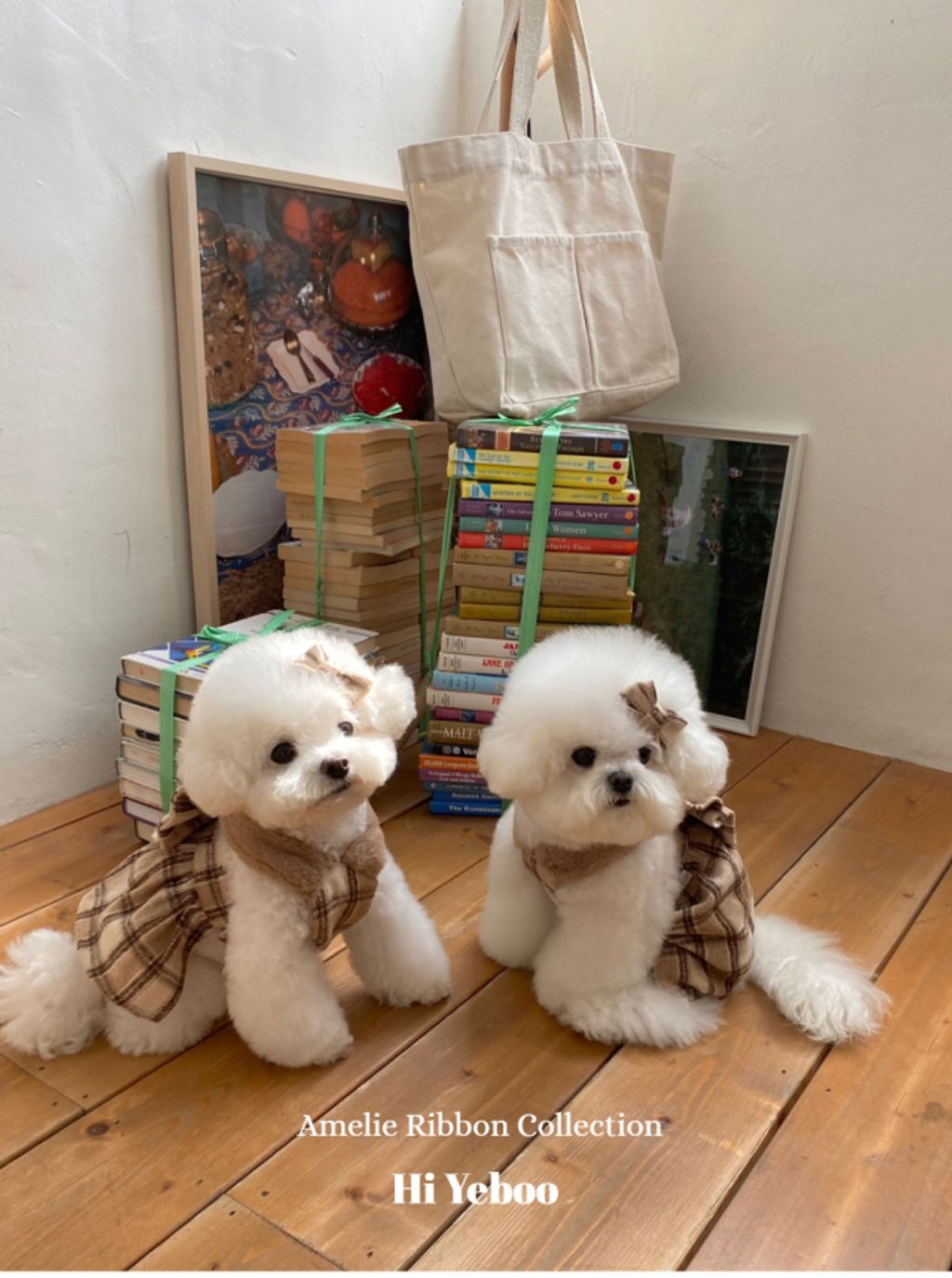 IMG_2045-1732163495898