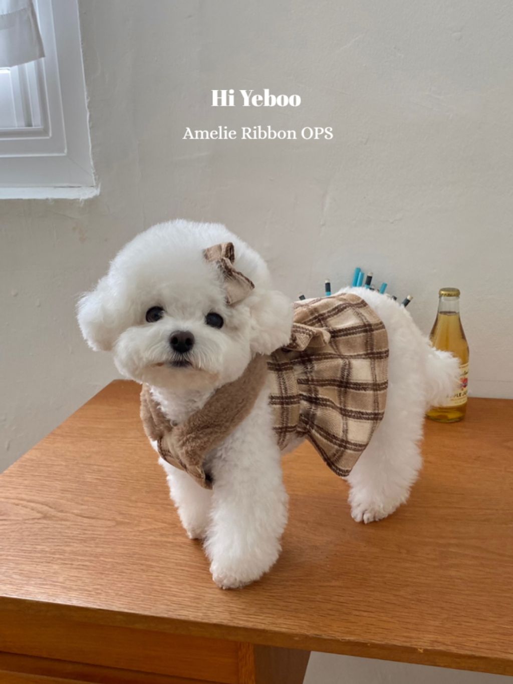 IMG_2048-1732163495904