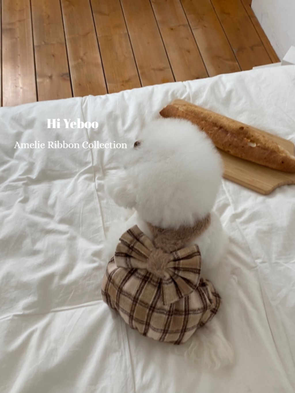 IMG_2047-1732163495910