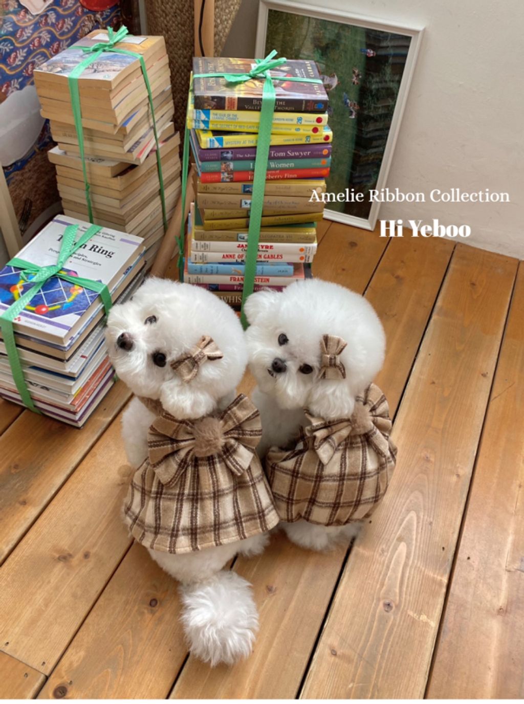 IMG_2046-1732163495917