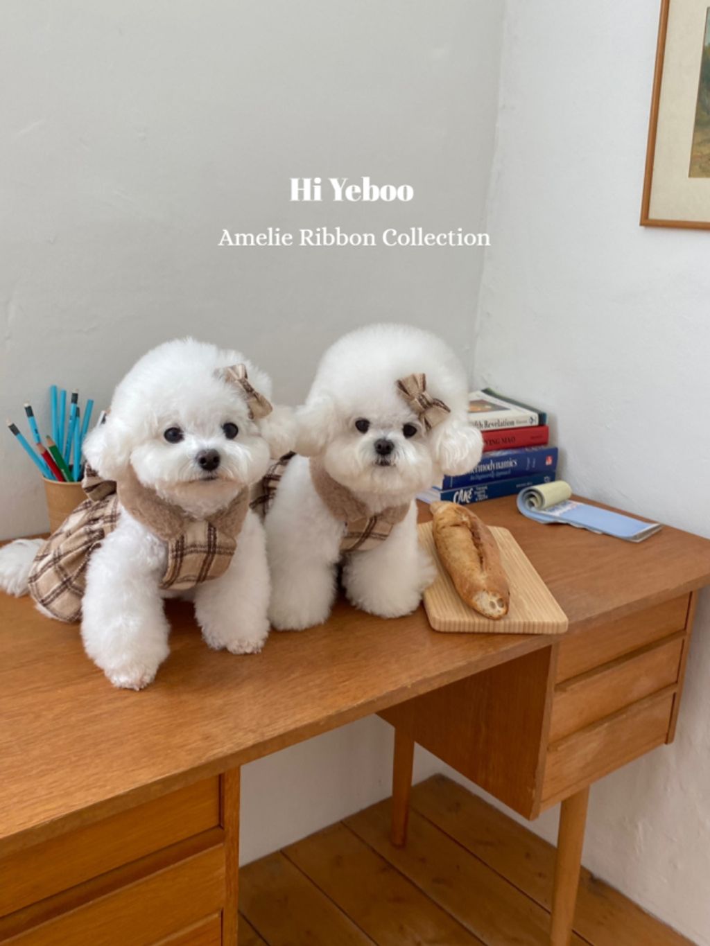 IMG_2049-1732163495924