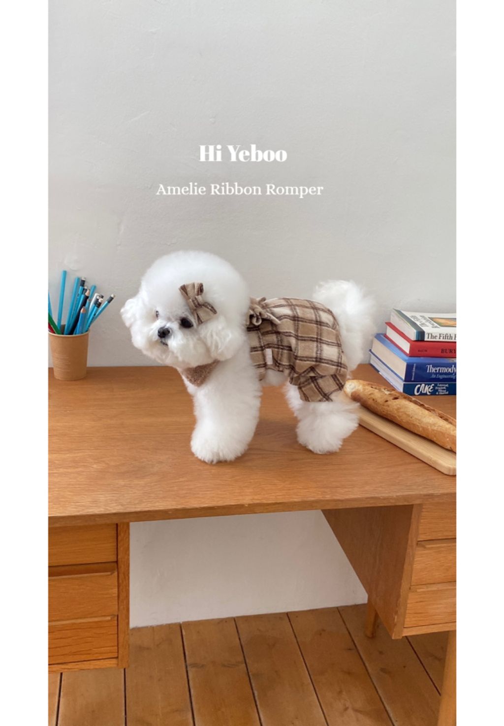 IMG_2050-1732163495931