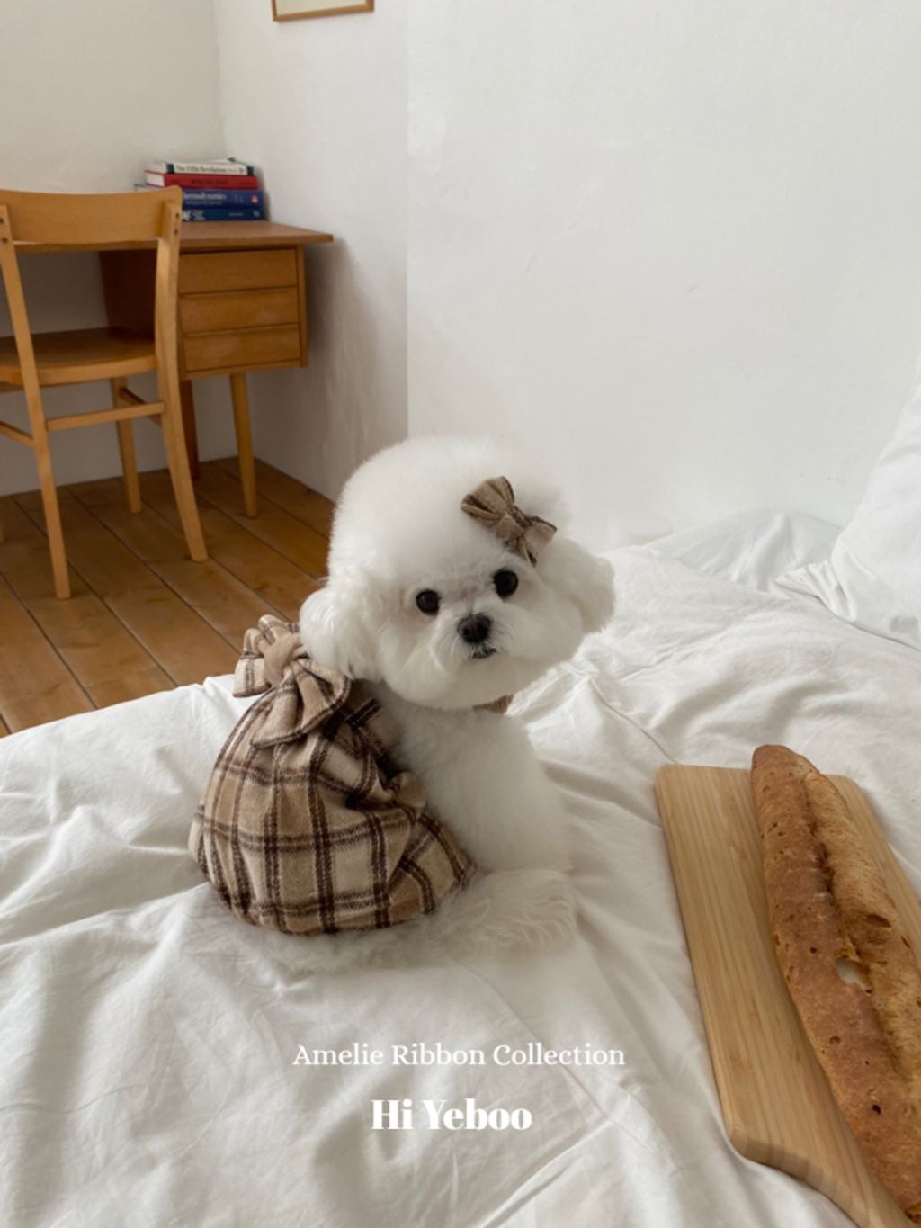 IMG_2051-1732163495938